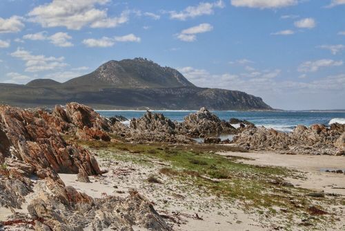 Case Study: Navigating emissions reduction initiatives with Great Southern Outback Tours & Accommodation