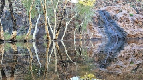 Case Study: Silent Tours Embraces the Tourism Emissions Reduction Program