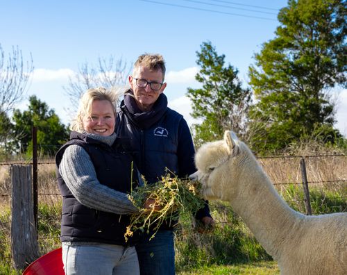 Crafting Sustainability: A Yarn Maker's Journey with the Carbonhalo Program