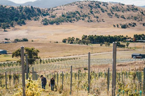 How this industry association solved its emissions dilemma in a matter of years hours