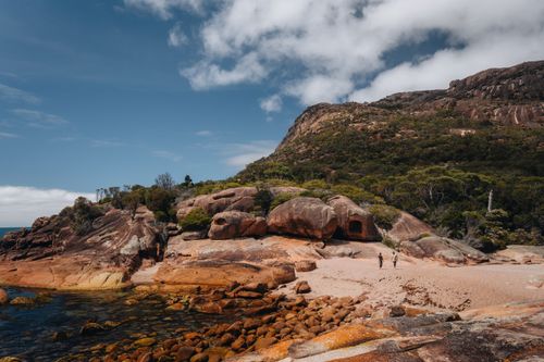 Incredible: how Tourism deployed a nationally coordinated emissions program in record time