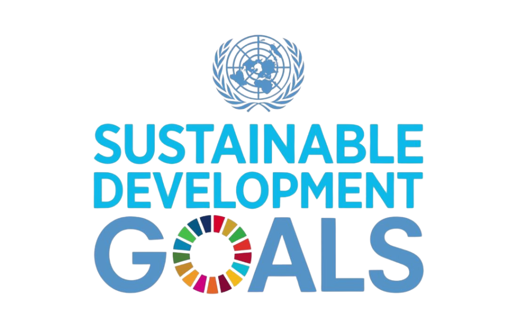 Sustainable Auditor Goals