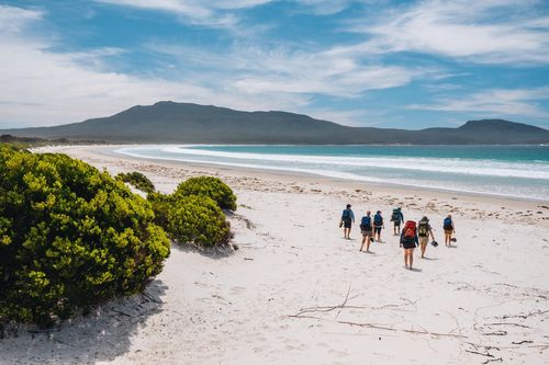 The Maria Island Walk Steps Toward Reducing Carbon Emissions
