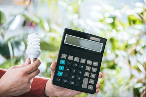 ACCC Releases Draft Guidance to Support Businesses in Making Honest Environmental Claims