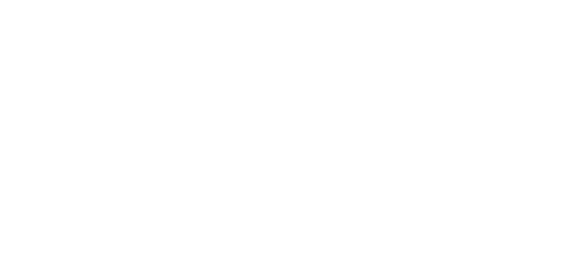 Sports Entertainment Network